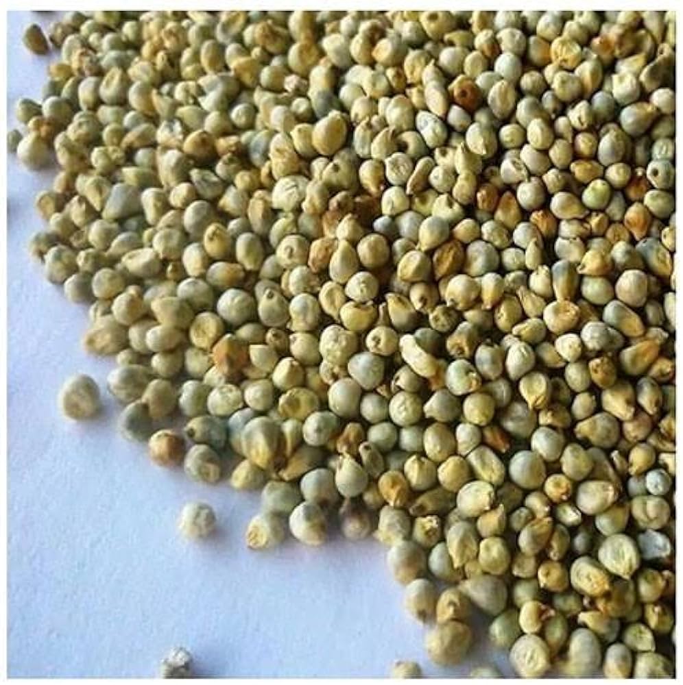 Green Millet Bajra